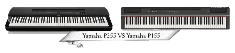 Yamaha P255 VS Yamaha P155