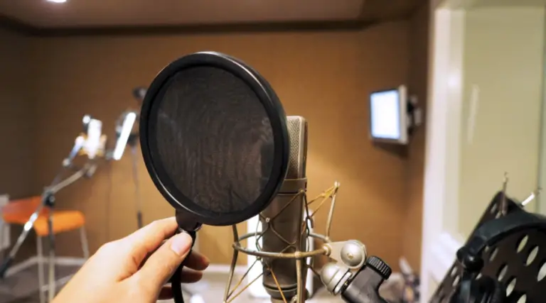 What Does a Pop Filter Do